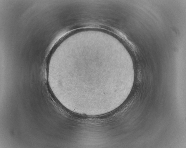 X0000115411368200912151532