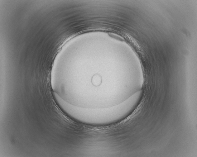 X0000115411369200912151532