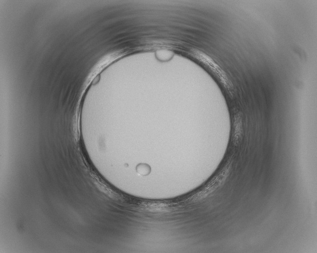 X0000115411370200912151532