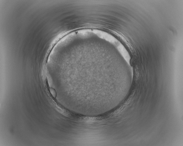 X0000115411371200912151532