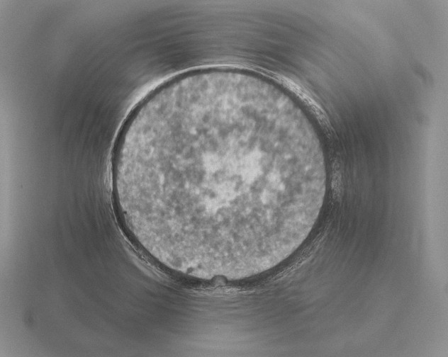 X0000115411372200912151532