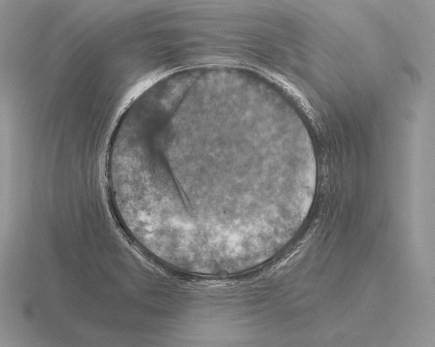 X0000115411373200912151532