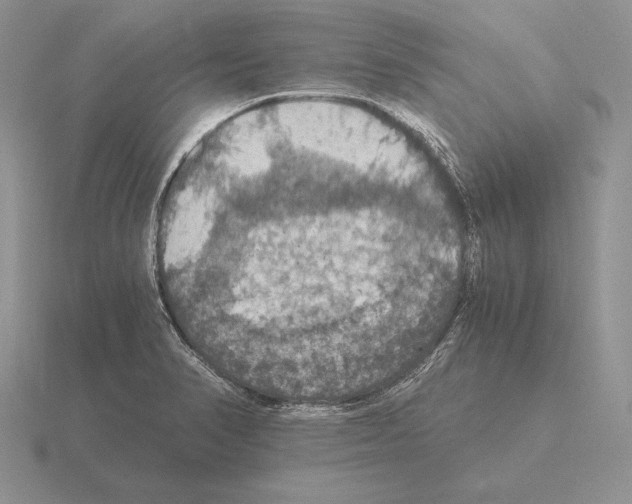 X0000115411374200912151532