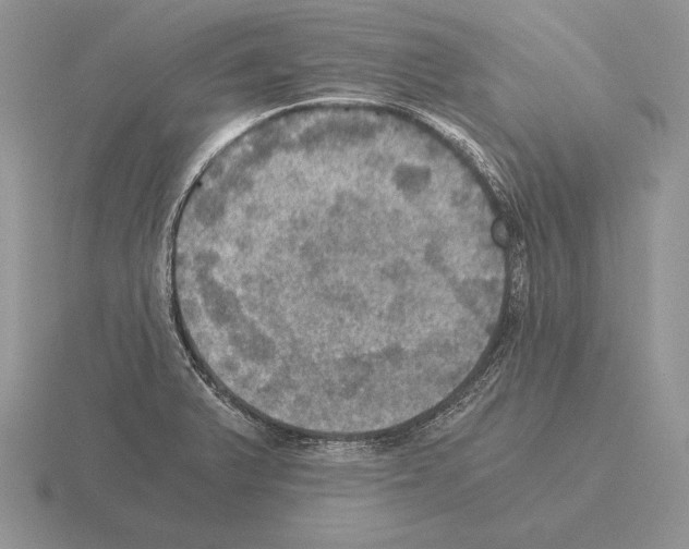 X0000115411375200912151532