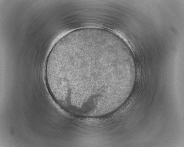 X0000115411379200912151532