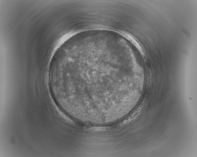 X0000115411381200912151532