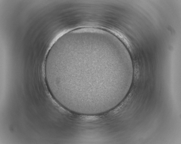 X0000115411382200912151532