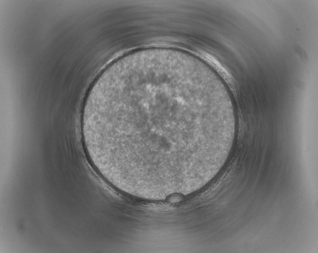 X0000115411384200912151532