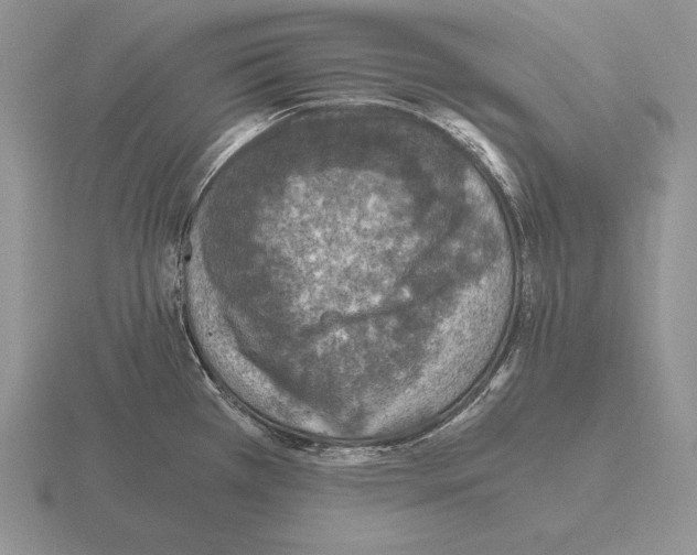 X0000115411385200912151532