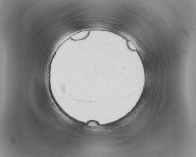 X0000115411387200912151532