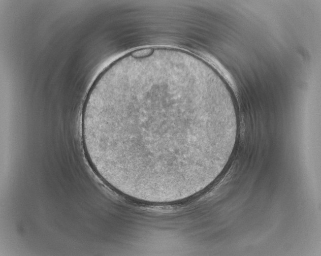 X0000115411388200912151532