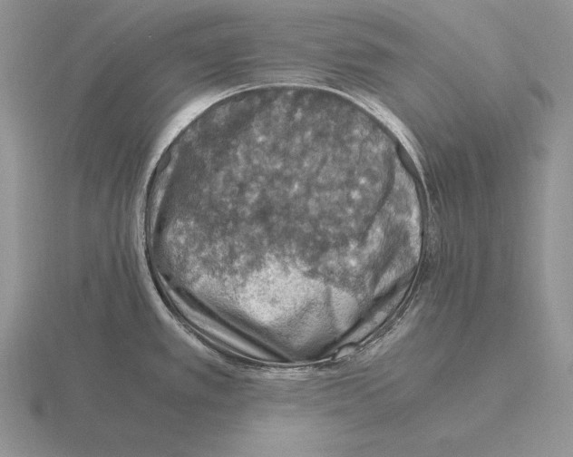 X0000115411389200912151532