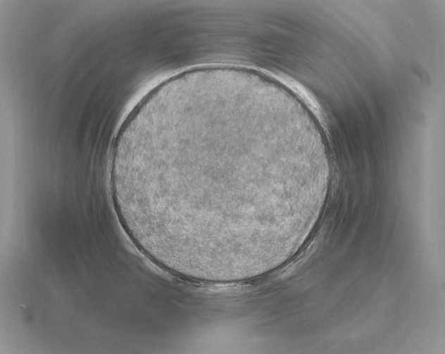 X0000115411390200912151532