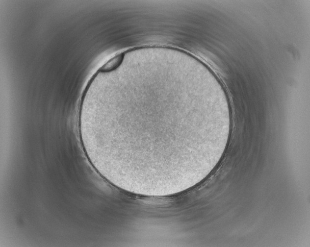 X0000115411392200912151532