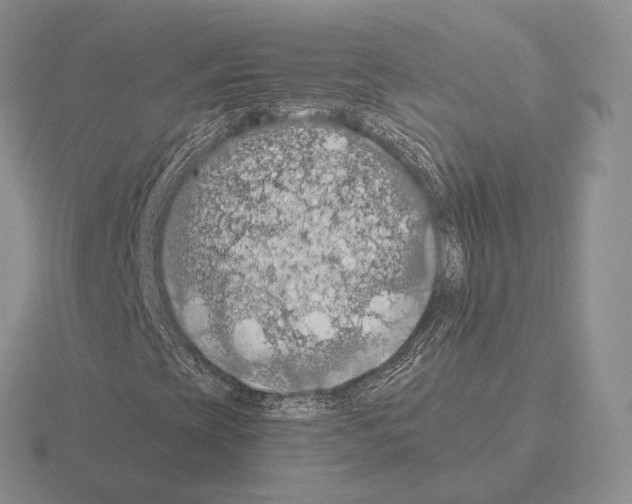 X0000115411393200912151531