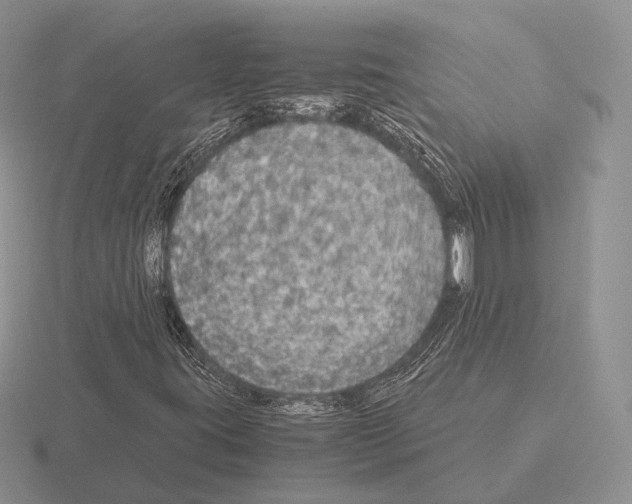 X0000115411395200912151531