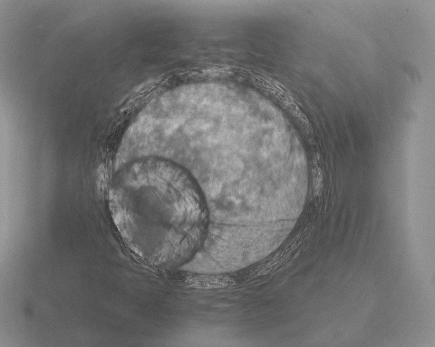 X0000115411397200912151531