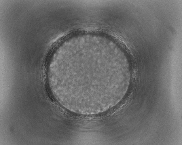 X0000115411398200912151531