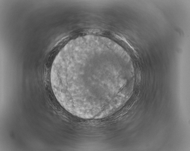 X0000115411399200912151531