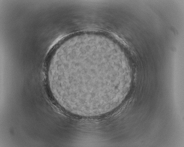 X0000115411400200912151531