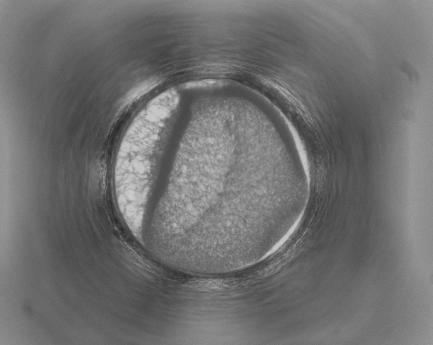 X0000115411402200912151531