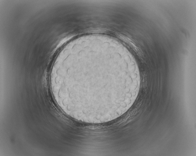 X0000115411404200912151531