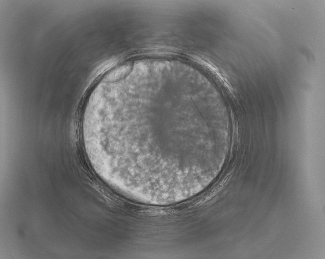 X0000115411405200912151531