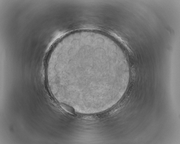 X0000115411408200912151531