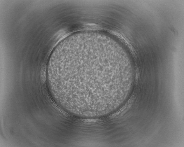 X0000115411409200912151531