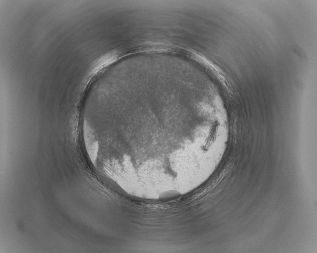 X0000115411411200912151531