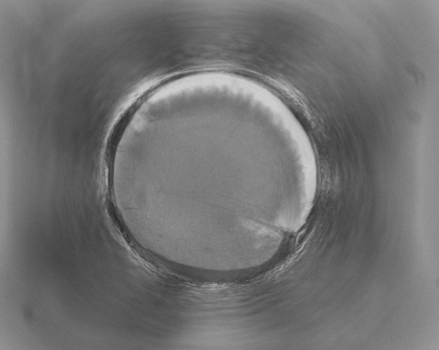 X0000115411414200912151531