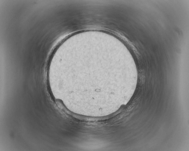 X0000115411416200912151532