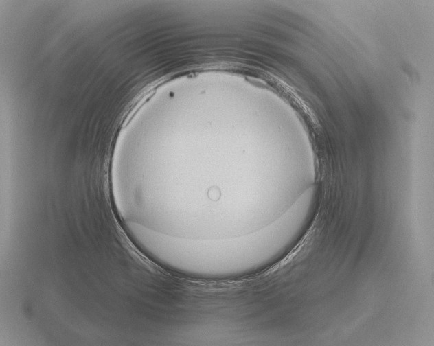 X0000115411417200912151532