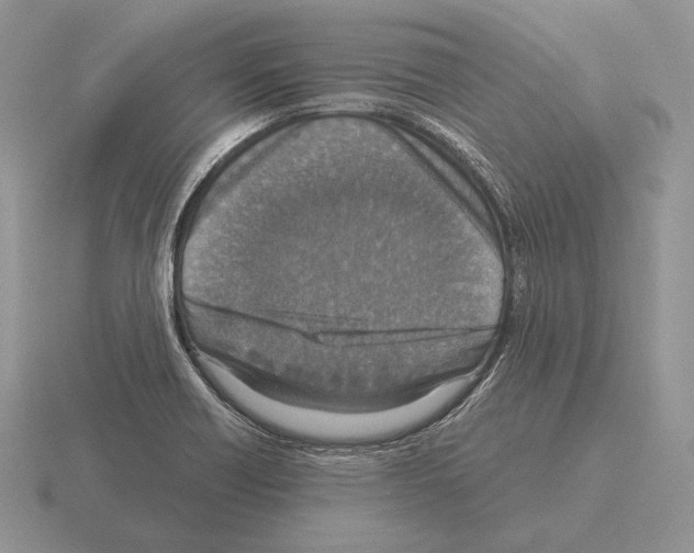 X0000115411418200912151532