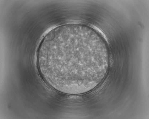 X0000115411419200912151532