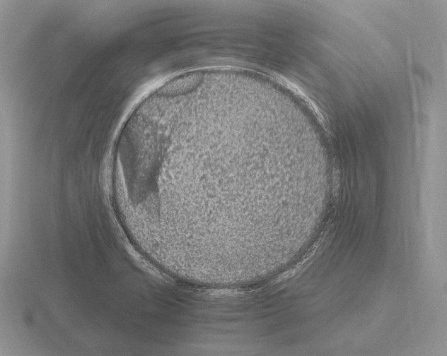 X0000115411421200912151532