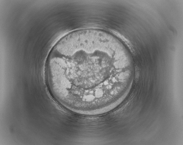 X0000115411423200912151532