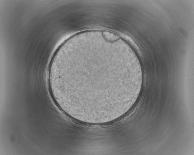 X0000115411424200912151532