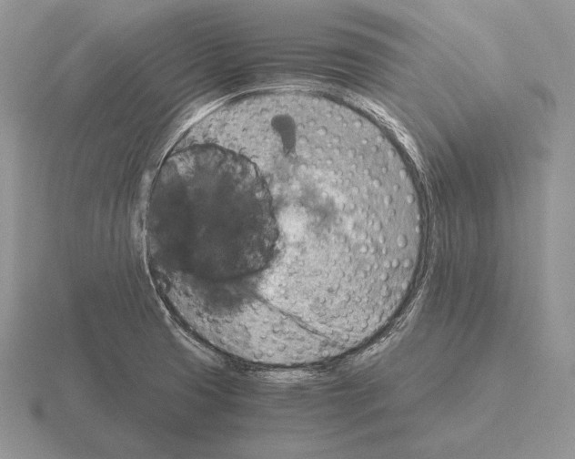 X0000115411425200912151532