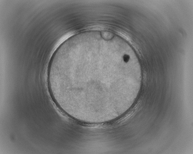 X0000115411426200912151532