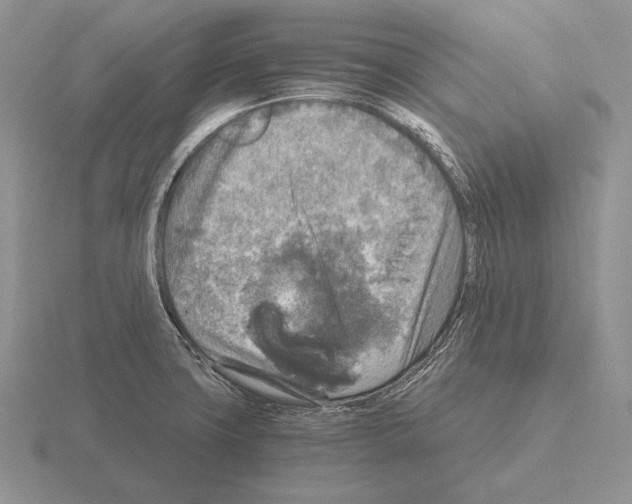 X0000115411427200912151532