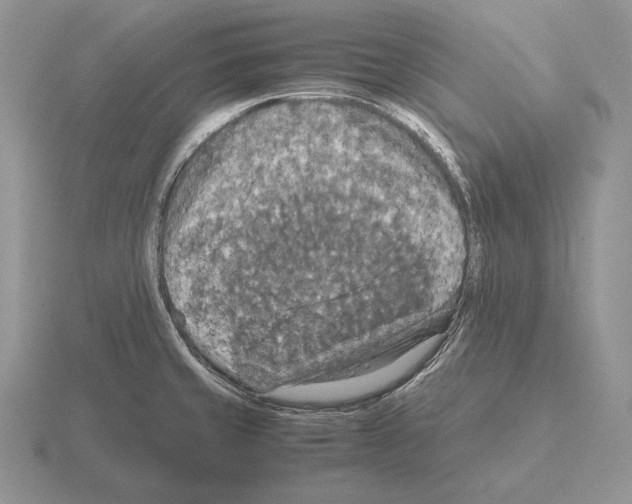 X0000115411429200912151532