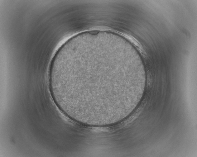 X0000115411430200912151532