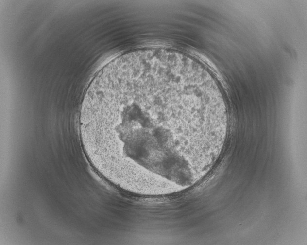 X0000115411433200912151532