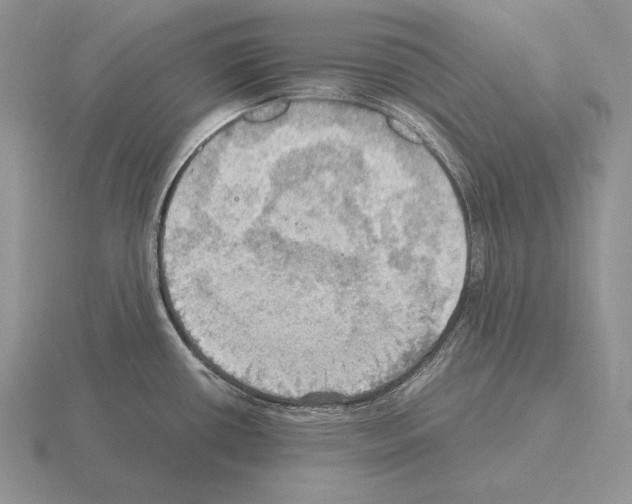 X0000115411434200912151532