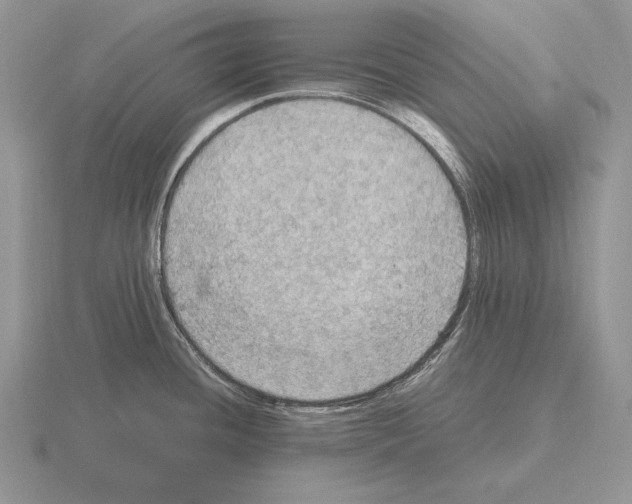 X0000115411436200912151532