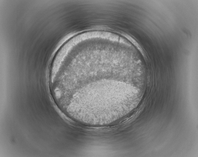 X0000115411438200912151532