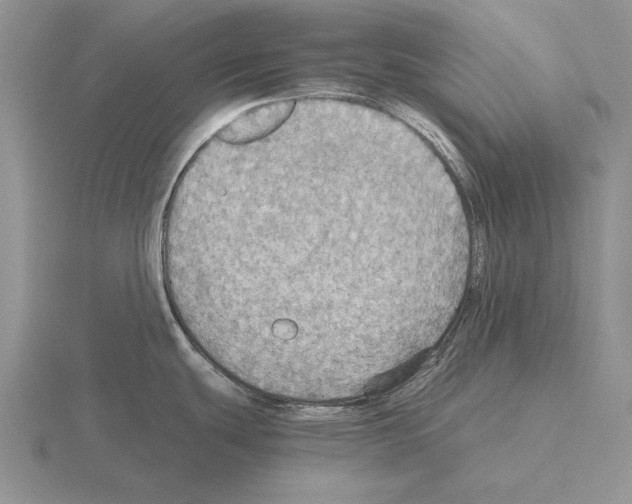 X0000115411439200912151532