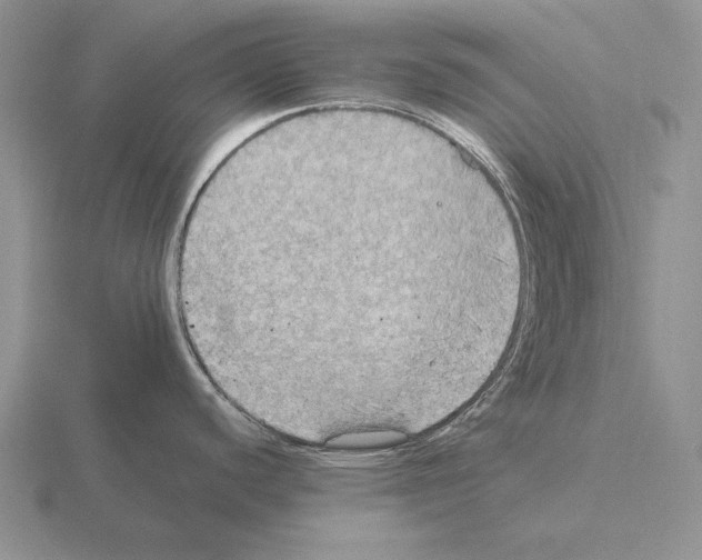 X0000115411440200912151532