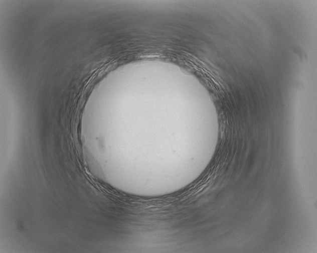 X0000115411441200912151531